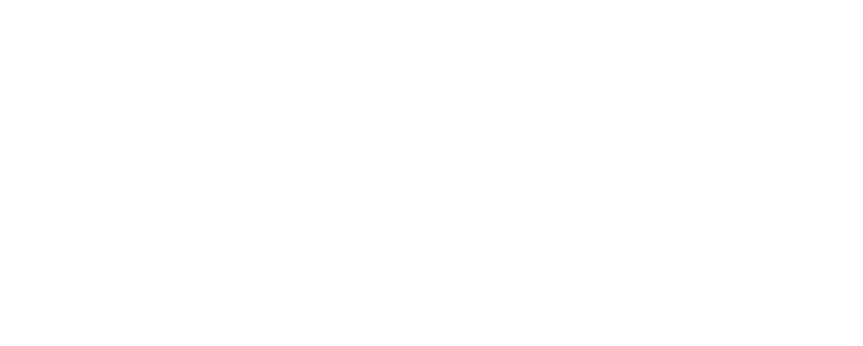 Logo APIS